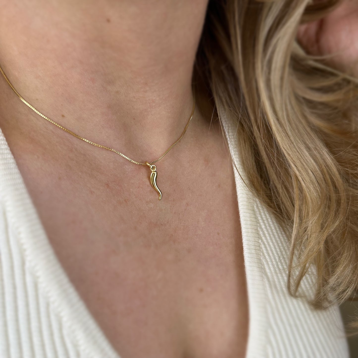 Italian Horn Pendant - Cornicello Charm Necklace