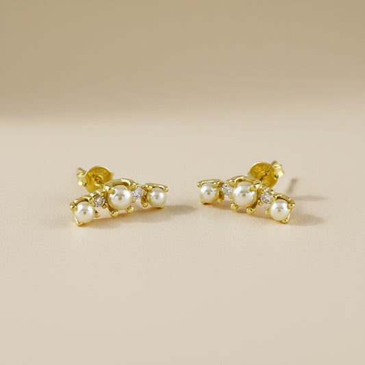 18k Gold Filled Pearl & Crystal Earrings