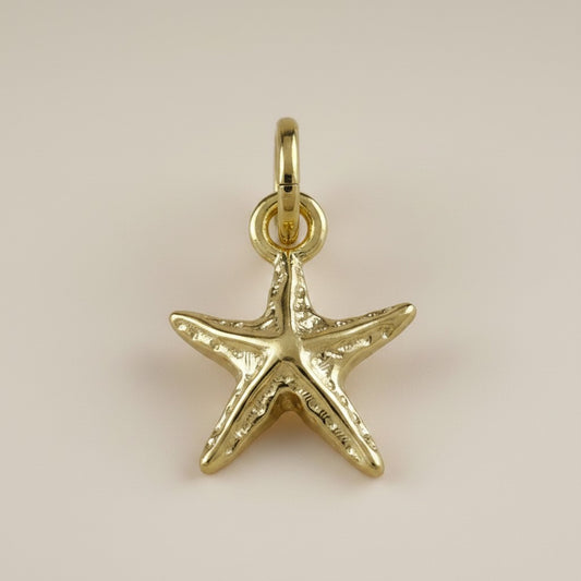 🌟 18k Gold Filled Sea Star Charm — Carry the Shore With You, Always