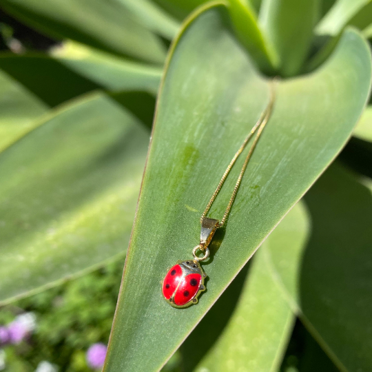 GoldFi 18k Gold Filled Ladybug Enamel Earrings Pendant